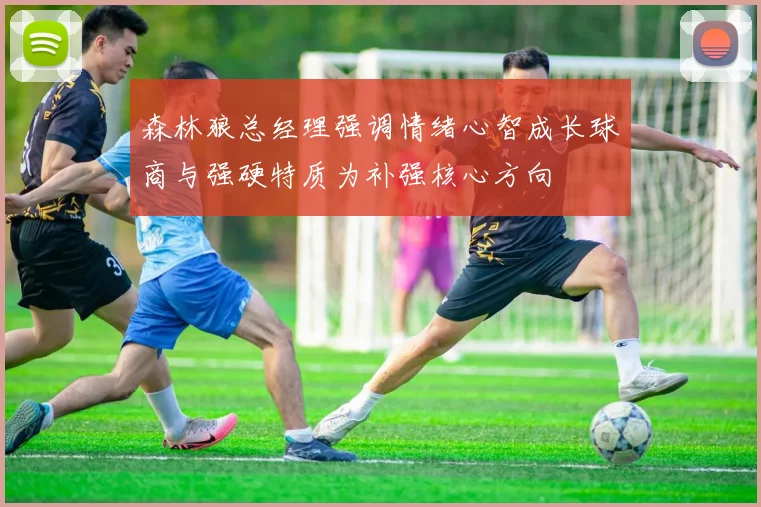 森林狼总经理强调情绪心智成长球商与强硬特质为补强核心方向