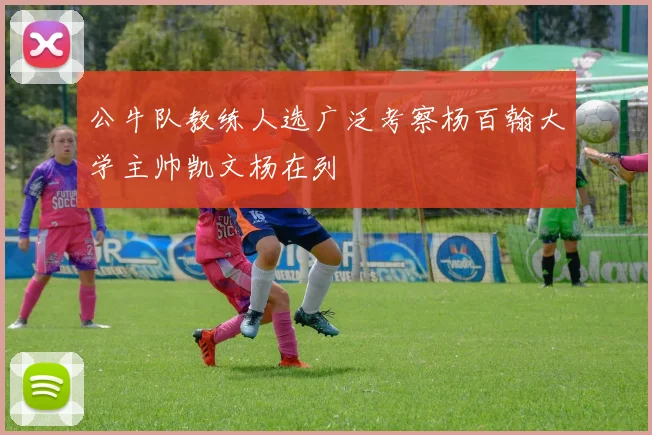 公牛队教练人选广泛考察杨百翰大学主帅凯文杨在列