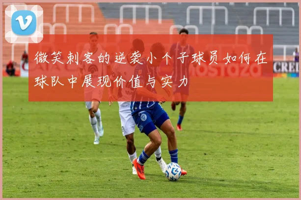 微笑刺客的逆袭小个子球员如何在球队中展现价值与实力