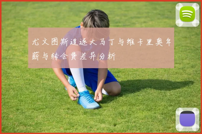 尤文图斯追逐大马丁与维卡里奥年薪与转会费差异分析