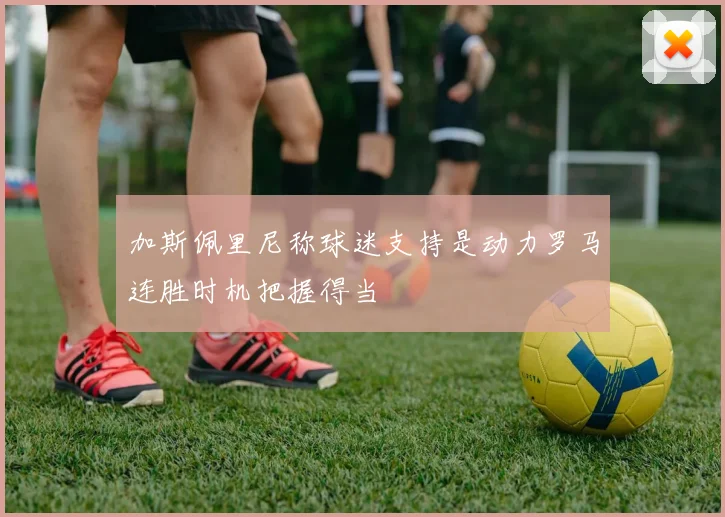 加斯佩里尼称球迷支持是动力罗马连胜时机把握得当